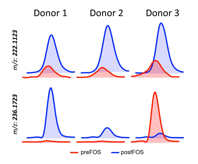 Diagram showing how different people's gut microbiota reacted to changes in diet