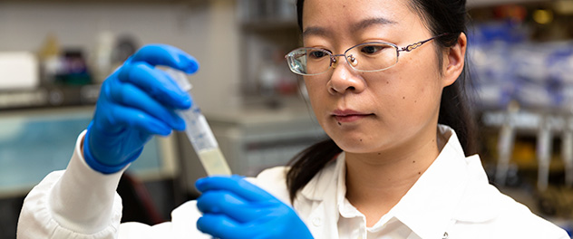 Trainee examining contents of test tube