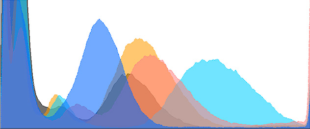 Histogram of blood sample analyzed by Mayo Clinic's Flow Cytometry Core in Arizona.