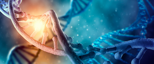 DNA molecule model