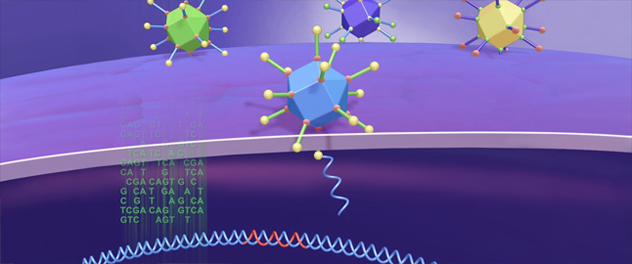 Therapy for amyotrophic lateral sclerosis (ALS)