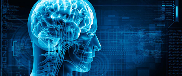 The Movement Neurophysiology Lab of John N. Caviness, M.D., at Mayo Clinic