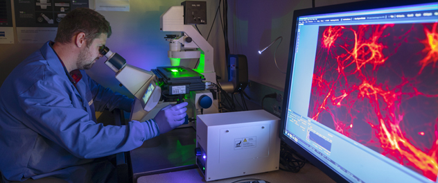 The Neurobiology of Parkinson's Disease Lab uses advanced microscopy to understand disease processes at Mayo Clinic's campus in Florida.