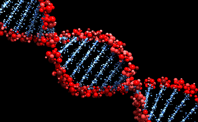 DNA double helix.