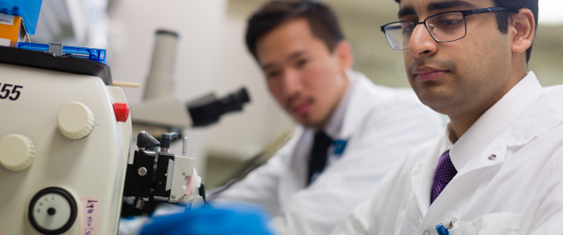 Two researchers in lab reviewing microscopic data