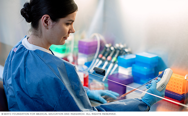 Ph.D. trainee prepares cells for an experiment to test a new drug.