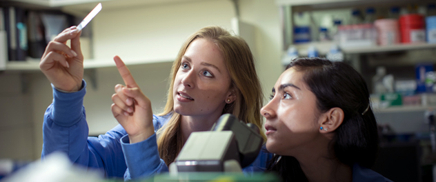 Two students in Dr. Fairweather's lab at Mayo Clinic discussing cardiomyopathy.