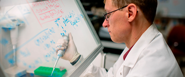 A transplant researcher working in a lab at Mayo Clinic