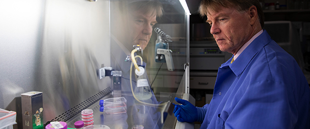 Photograph showing Dr. Copland of Mayo Clinic working in his lab