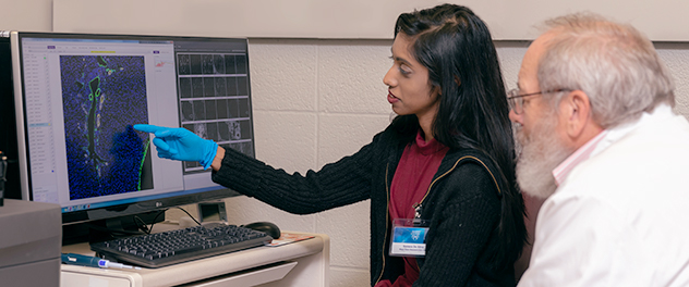 Core staff viewing microscopy on a computer screen