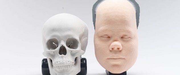 3D facial anatomical models