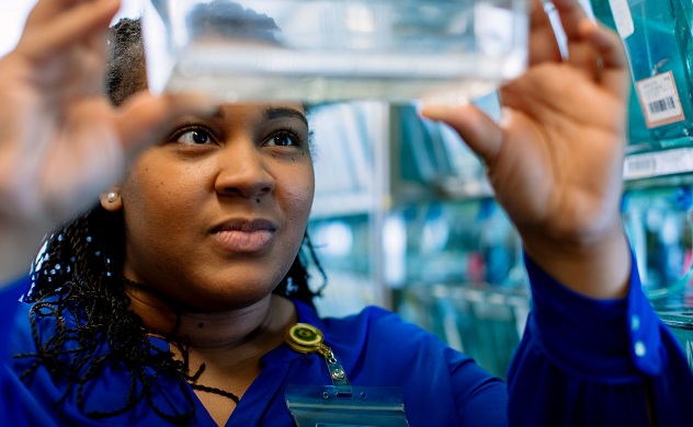 Research trainee in zebrafish laboratory