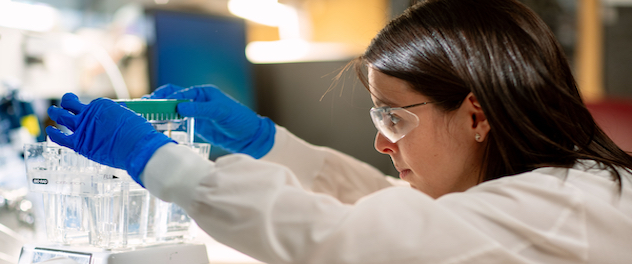 Clinical investigator performing Western blot with protein samples