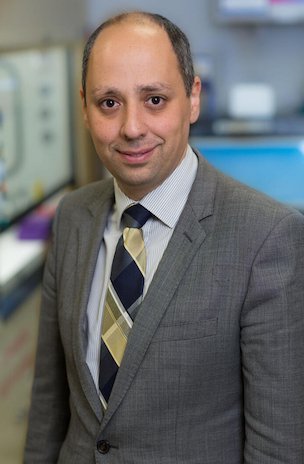 Saad J. Kenderian, M.B., Ch.B., principal investigator