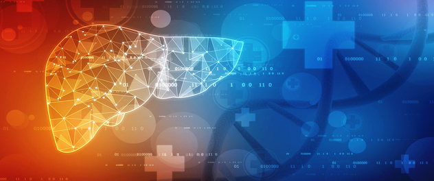 Digital concept showing mapping of liver using data analytics and artificial intelligence