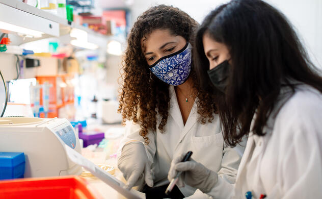 Masked researchers reviewing findings