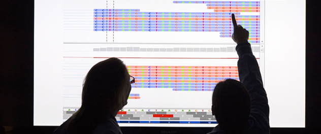 Two researchers reviewing data on a large screen