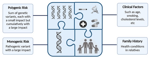 Infographic showing polygenic risk, monogenic risk, clinical factors and family history as interlocking puzzle pieces.