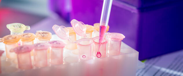 Photograph showing test tubes in a lab