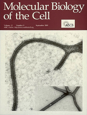 September 2001 Molecular Biology of the Cell cover