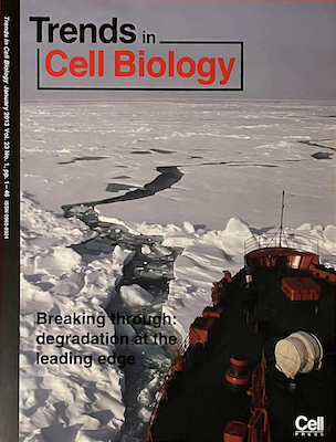 January 2013 Trends in Cell Biology cover