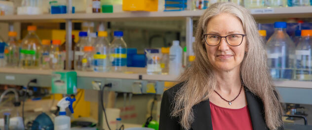 Photograph of cancer researcher Evette S. Radisky, Ph.D., standing in her lab at Mayo Clinic