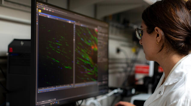 Researcher looking at microscopy imaging on computer monitor