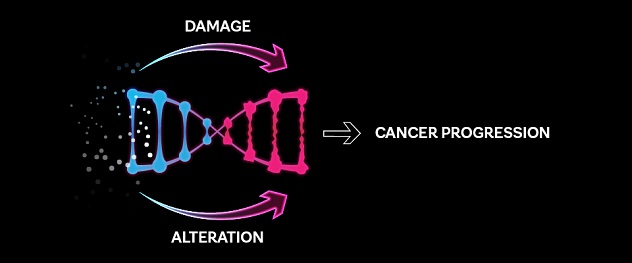 Diagram illustrating that damage to DNA leads to gene changes that lead to cancer progression