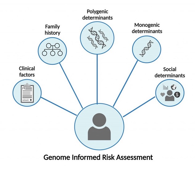 Infographic showing the factors assessed in the GIRA report No caption