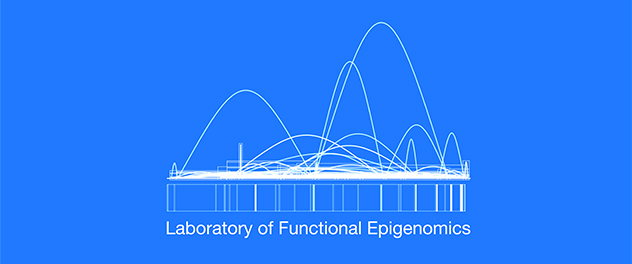 Epigenomic profiling